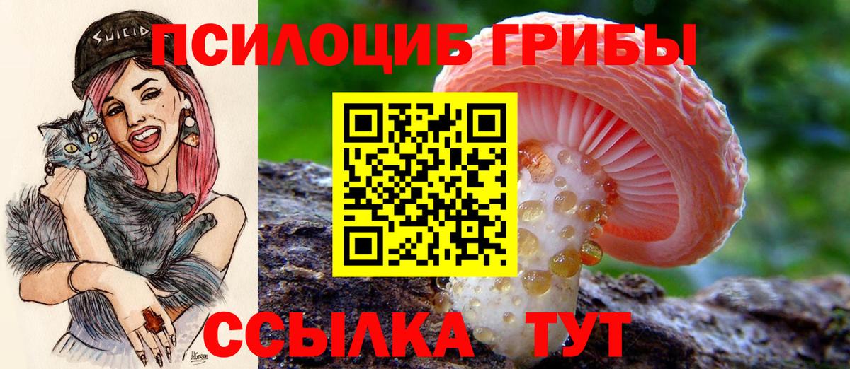 Галлюциногенные грибы мицелий Камышин