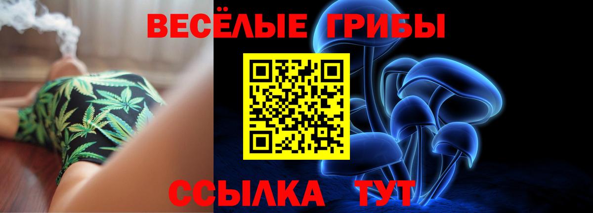 Псилоцибиновые грибы Cubensis  Вход с VPN  Псилоцибиновые грибы Cubensis  Камышин 